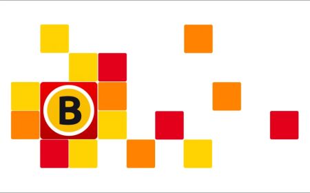 Onderzoek omroep Brabant
