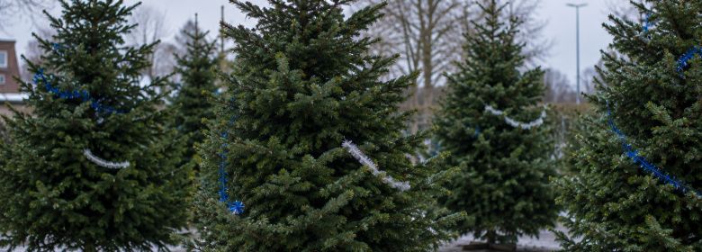 Help jij mee met de kerstboominzameling?