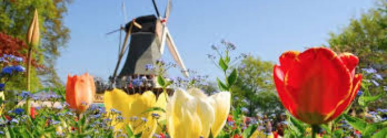 25 maart Lekker Hollands bij HVCH
